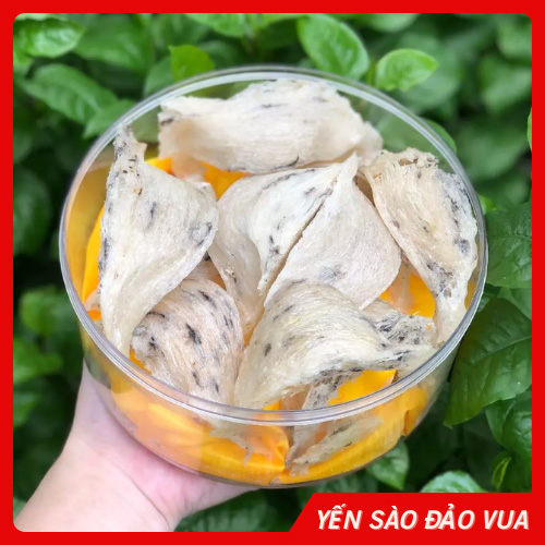 Tổ Yến Thô 100gr